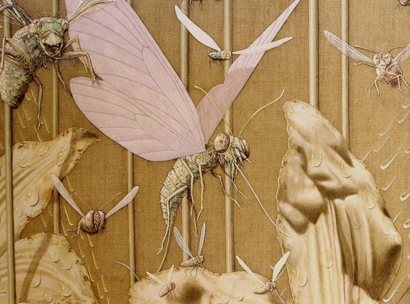 Jumbled Life Tiny Detail